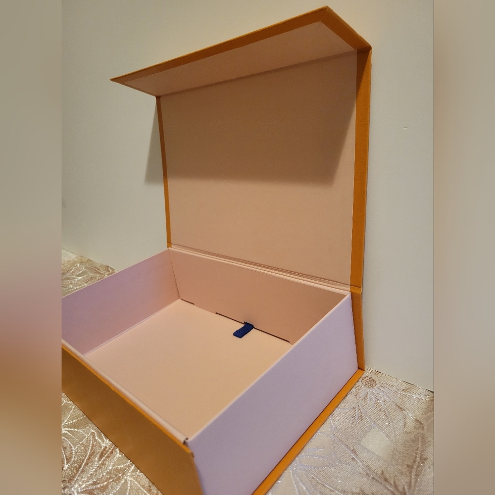 LOUIS VUITTON Empty Box